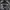 Dirty Business Gorpcore Tracksuit Pria Black