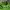 Japanese brand Fairy Futurist Capes & poncho Wanita green photo 3