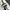 FUBU Casual Sweater Pria white photo 4