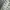 Adidas Y2K Casual Sneakers Pria green photo 6