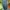 Muslim Maxi dress Wanita green photo 2