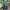 Muslim Maxi dress Wanita green photo 1