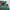 Adidas Casual Sneakers Pria green red photo 2