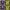 Sportswear Jersey Pria navy yellow photo 1
