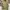 Uniqlo Vintage Y2K Windbreaker Pria cream photo 2