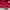 L.L.Bean Vintage Y2K Windbreaker Pria red photo 7