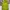 Uniqlo Vintage Y2K Windbreaker Pria green photo 3