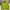 Uniqlo Vintage Y2K Windbreaker Pria Green