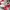 Adidas Gorpcore Casual Sneakers Wanita white photo 1