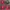 Sportswear Jersey Pria green red photo 1
