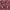 Sportswear Jersey Pria red black photo 1