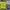Sportswear Jersey Pria navy yellow photo 1