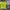 Sportswear Jersey Pria Navy Yellow