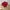 Vintage Y2K Sweater Pria white red photo 4