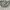 Vintage Casual Sweater Pria tan gray photo 4