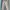 Japanese brand Streetwear Y2K Formal pants Pria khaki photo 2