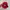Vintage Skater Hat Pria red photo 5