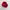 Vintage Skater Hat Pria red photo 4