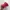 Streetwear Skater Hat Pria red photo 2