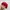 Streetwear Skater Hat Pria red photo 4