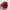 Streetwear Skater Hat Pria red photo 6