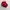 Streetwear Skater Hat Pria red photo 3