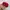 Streetwear Skater Hat Pria red photo 4