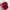 Streetwear Skater Hat Pria red photo 6