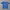 Pancoat Vintage Streetwear T-shirt Pria Blue
