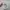 Topi Snapback Open One's Eyes Illuminati AOP Visor photo 5