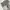 Japanese brand Vintage Streetwear Jeans Pria white gray photo 7