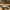 Nike Streetwear Sportswear Sneakers Pria gold white photo 2