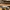 Nike Streetwear Sportswear Sneakers Pria Gold White