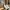 Nike Streetwear Sportswear Sneakers Pria gold white photo 5