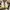 Nike Streetwear Sportswear Sneakers Pria gold white photo 3