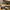 Nike Streetwear Sportswear Sneakers Pria gold white photo 1