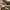 Nike Streetwear Sportswear Sneakers Pria Gold White