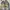 Nike Streetwear Sportswear Sneakers Pria gold white photo 6