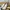 Nike Streetwear Sportswear Sneakers Pria gold white photo 4