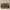 Jims Honey Casual Muslim Shoulder bag Wanita tan photo 1