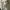 Vintage Y2K Midi dress Wanita cream photo 1