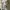 Vintage Y2K Midi Dress Wanita Cream