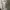 Vintage Y2K Midi dress Wanita cream photo 2