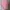 Y2K Coquette Crop top Wanita pink photo 2