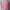 Y2K Coquette Crop Top Wanita Pink
