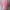 Y2K Coquette Crop top Wanita pink photo 1