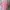 Y2K Coquette Crop Top Wanita Pink
