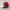 Swiss Country Flag Two Tone Snapback Hat Zephyr photo 3