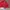 Swiss Country Flag Two Tone Snapback Hat Zephyr photo 6