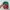 Swiss Country Flag Two Tone Snapback Hat Zephyr photo 5